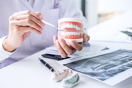 The image shows two photos side by side on the left, a dental hygienist holding a toothbrush and examining a model mouth on the right, a hand holding a small model of a human head with an open mouth, next to a magnifying glass and dental tools.
